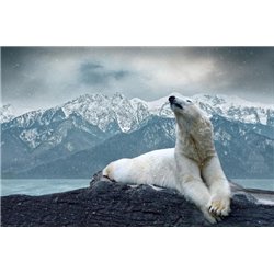 Медведь на фоне скал - Фотообои Животные|медведи
