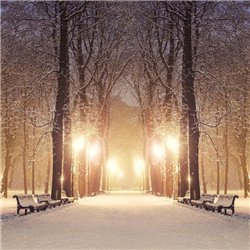Зимний парк - 3D фотообои|Стереоскопические обои