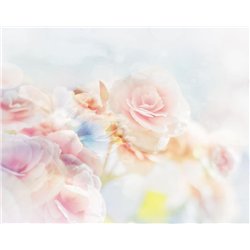 Нежные цветы - Фотообои цветы|розы
