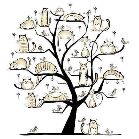 Котики на дереве - Фотообои детские