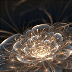 Световой цветок - 3D фотообои|3D цветы