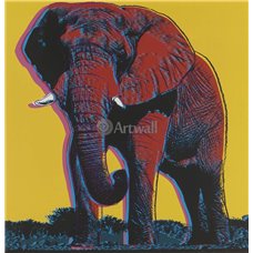 Картина на холсте по фото Модульные картины Печать портретов на холсте Африканский слон