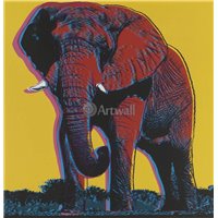 Портреты картины репродукции на заказ - Африканский слон