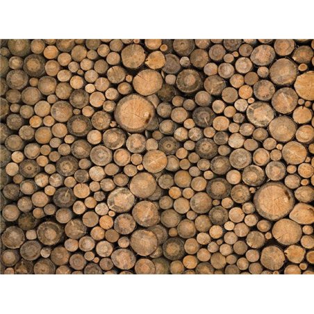 Бревна дерева - Фотообои природа|деревья и травы