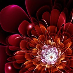 Красный огненный цветок - 3D фотообои|3D цветы