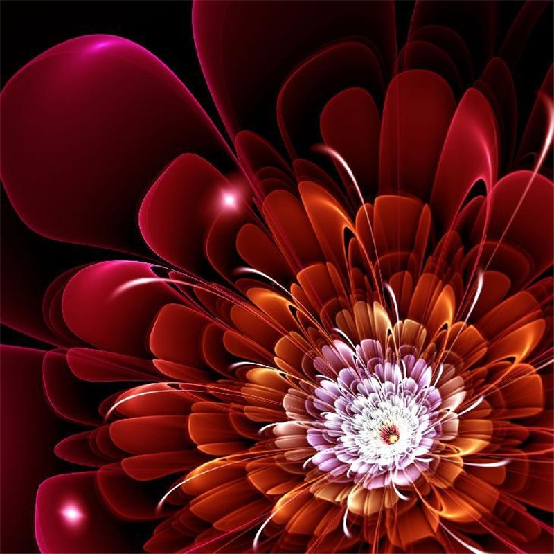 Красный огненный цветок - 3D фотообои|3D цветы