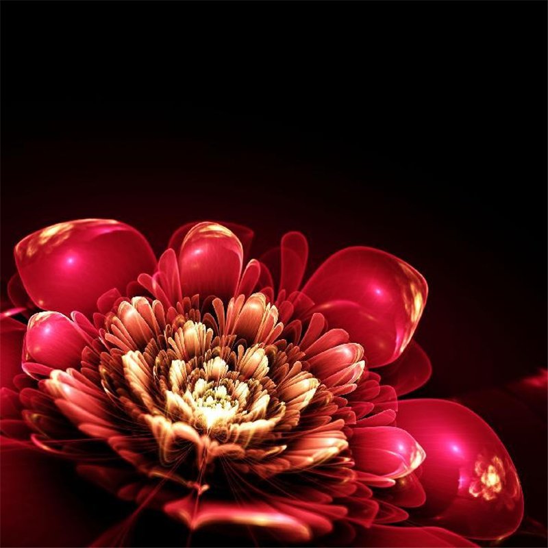 Красный огненный бутон - 3D фотообои|3D цветы