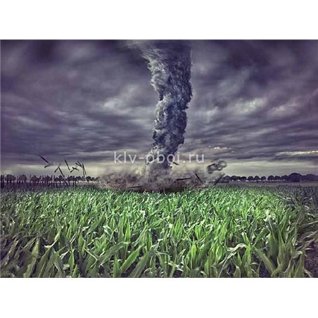 Ураган - Фотообои природа|поля