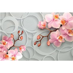 3D орхидеи - 3D фотообои|3D цветы