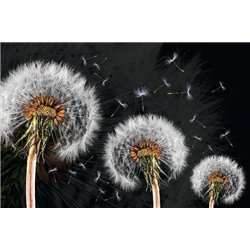 Большие одуваны - Фотообои цветы|одуванчик