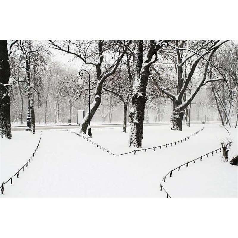 Зимний город - Фотообои Современный город|Санкт-Петербург