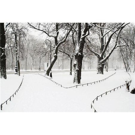 Зимний город - Фотообои Современный город|Санкт-Петербург