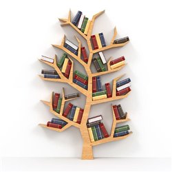 Книжная полка - 3D фотообои|Стереоскопические обои