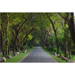 Пригород - Фотообои Расширяющие пространство