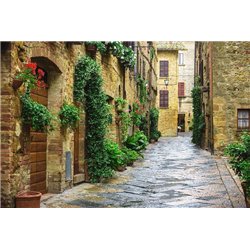 Старая Франция - Фотообои Расширяющие пространство