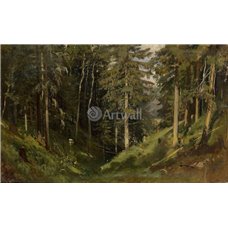 Картина на холсте по фото Модульные картины Печать портретов на холсте Лесной овраг