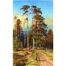 Картина на холсте по фото Модульные картины Печать портретов на холсте Сосновый лес