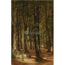 Картина на холсте по фото Модульные картины Печать портретов на холсте Старый лес