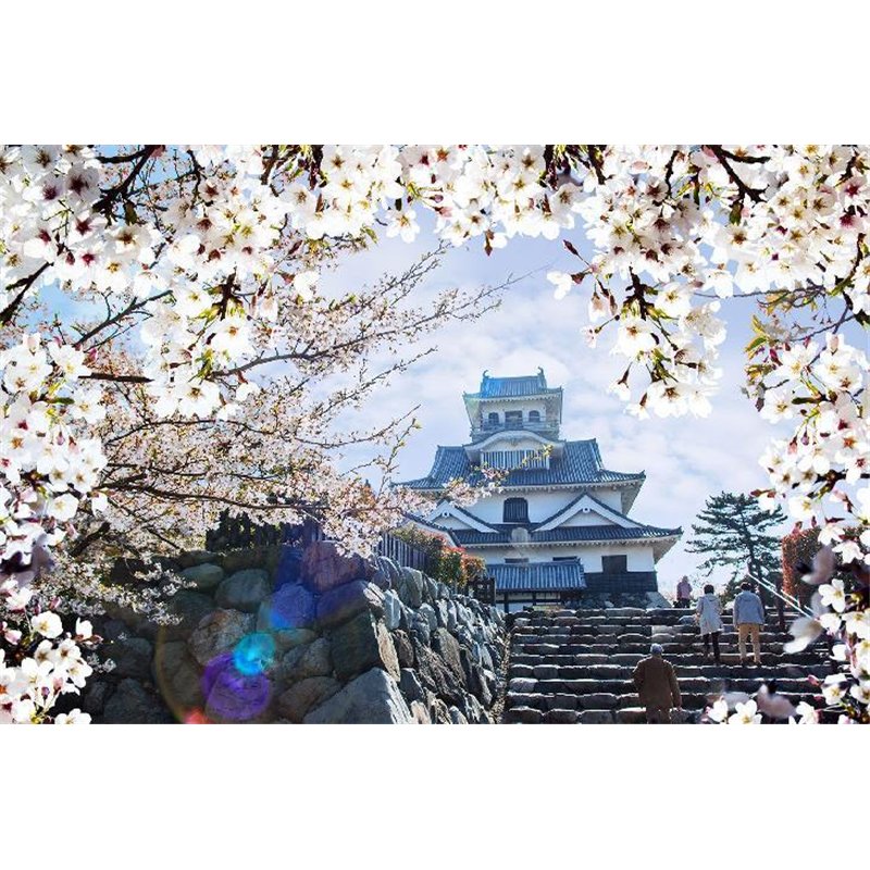 Замок Нагахама - Фотообои Японские и просто сады