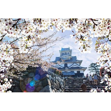 Замок Нагахама - Фотообои Японские и просто сады