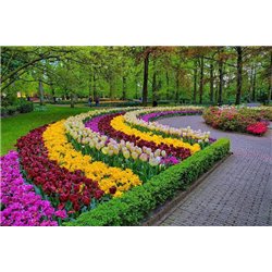 Тюльпаны - Фотообои Японские и просто сады