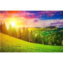 Луга на закате - Фотообои природа|поля