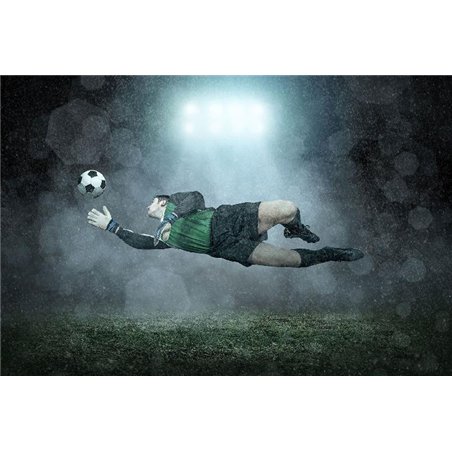 Вратарь - Фотообои спорт