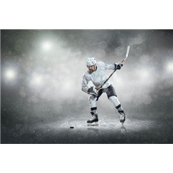 Игрок - Фотообои спорт