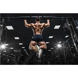 Тренажерный зал - Фотообои спорт