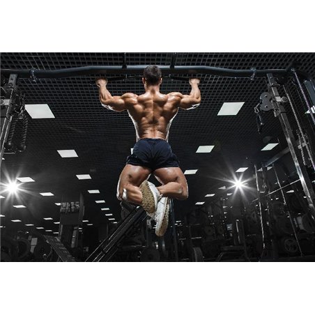 Тренажерный зал - Фотообои спорт