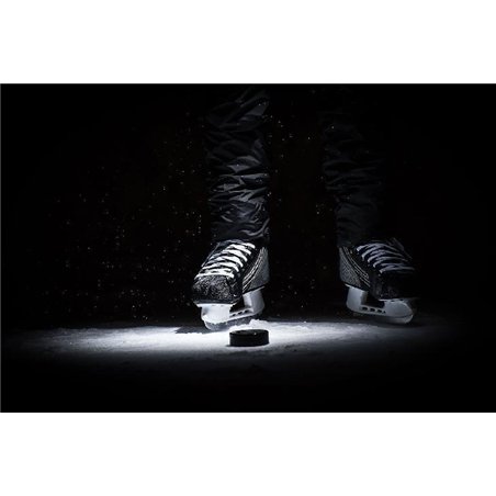 На льду - Фотообои спорт