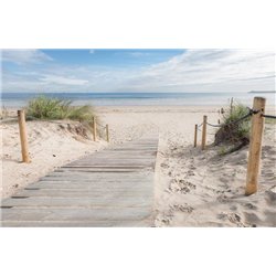 Путь к морю - Фотообои Море