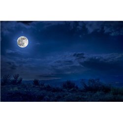 Ночная красота - Фотообои природа