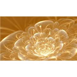 Фантастический цветок 3d - 3D фотообои|3D цветы