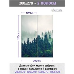 Фотообои на стену флизелиновые - природа, Лес в тумане - 200x270 см - Моющиеся виниловые обои на стену