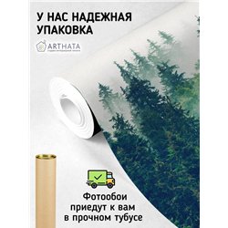 Фотообои на стену флизелиновые - природа, Лес в тумане - 200x270 см - Моющиеся виниловые обои на стену
