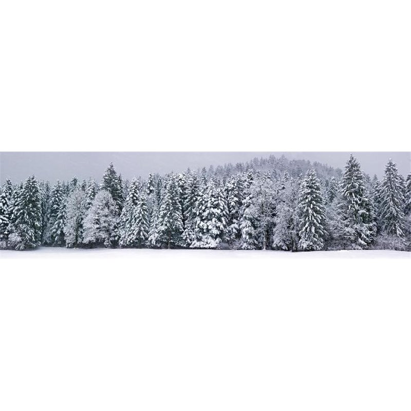 Заснеженный лес - Фотообои природа