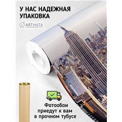 Фотообои солнечный Нью-Йорк, небоскребы 500 x 270см. Для кухни, спальни и гостинной