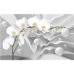 Ветка белой орхидеи - 3D фотообои|3D цветы