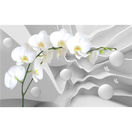 Ветка белой орхидеи - 3D фотообои|3D цветы