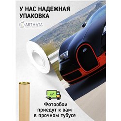 Фотообои детские флизелиновые машина, авто, спорт 300 x 270см. Винил на флизелине моющиеся для девочки или мальчика.
