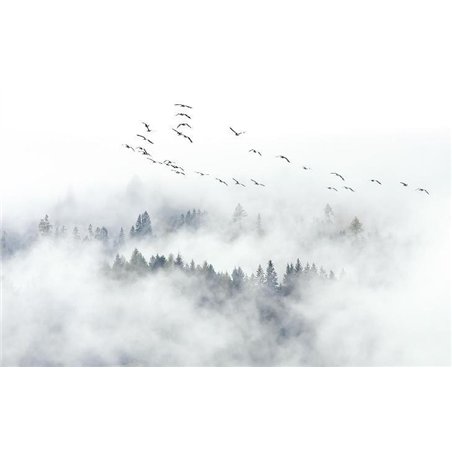 Дымка над лесом - Фотообои природа|лес
