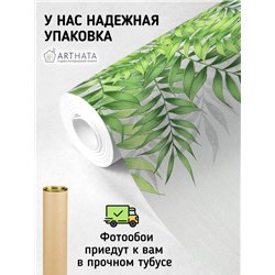 Фотообои флизелиновые - пальмовые листья - 300 x 270см - Фотообои в коридор и гостинную