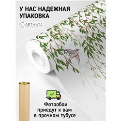 Фотообои на стену флизелиновые - ветви дерева - 500x270см - Моющиеся виниловые обои на стену