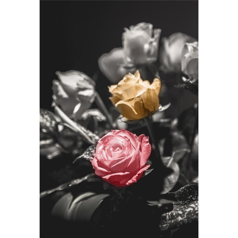 Две стороны - Фотообои цветы|розы