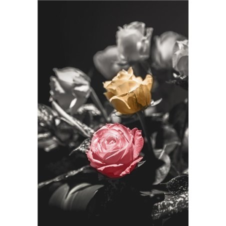 Две стороны - Фотообои цветы|розы