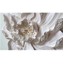 Крупный белый цветок - 3D фотообои|3D цветы
