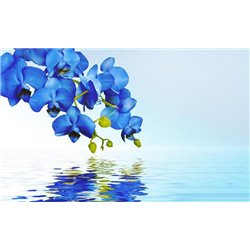 Орхидея над водой - 3D фотообои|3Д обои на кухню