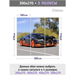 Фотообои детские флизелиновые - машина - 300x270 - Фотообои для девочки или мальчика спортивный автомобиль, трасса, бугатти диза