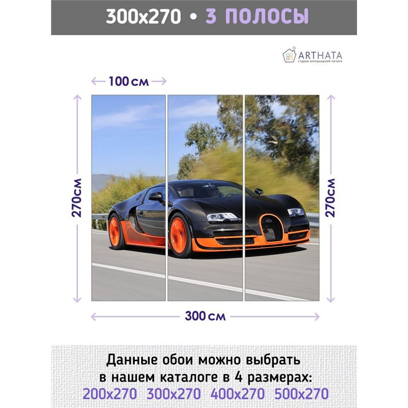 Фотообои детские флизелиновые - машина - 300x270 - Фотообои для девочки или мальчика спортивный автомобиль, трасса, бугатти диза
